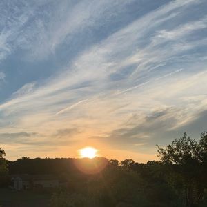 Meet your Posher, Shelby